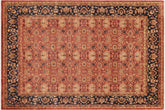 handmade Transitional Kafkaz Red Blue Hand Knotted RECTANGLE 100% WOOL area rug 9' x 12'