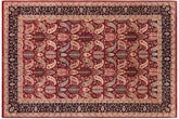 handmade Transitional Agra Red Blue Hand Knotted RECTANGLE 100% WOOL area rug 6 x 9