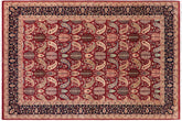 handmade Transitional Agra Red Blue Hand Knotted RECTANGLE 100% WOOL area rug 6x9