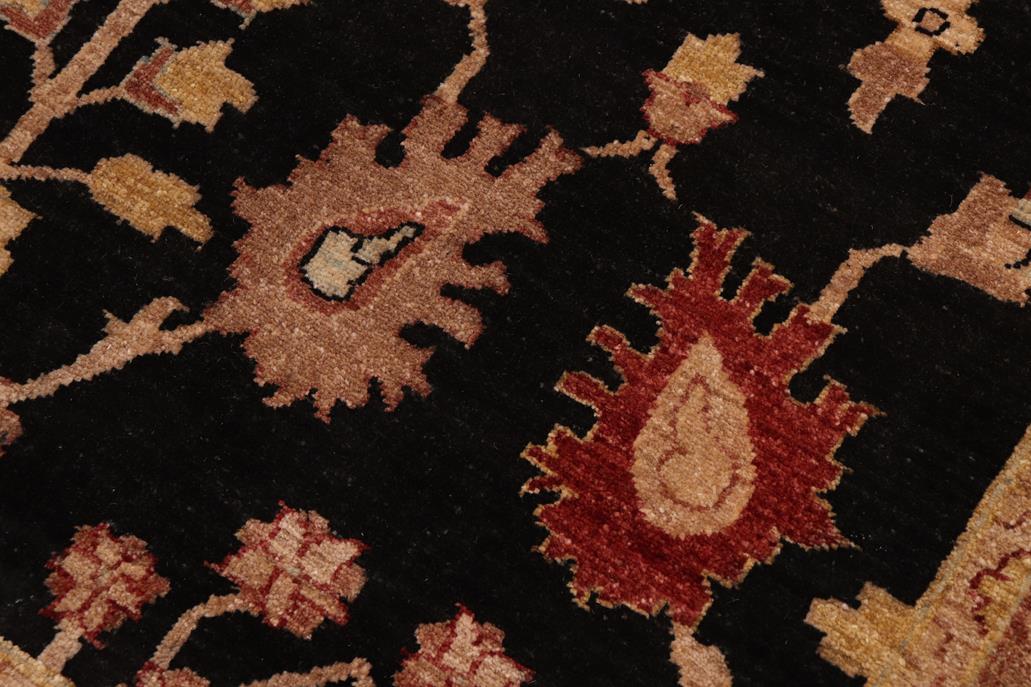 handmade Traditional Kafkaz Chobi Ziegler Black Red Hand Knotted RECTANGLE 100% WOOL area rug 10 x 14