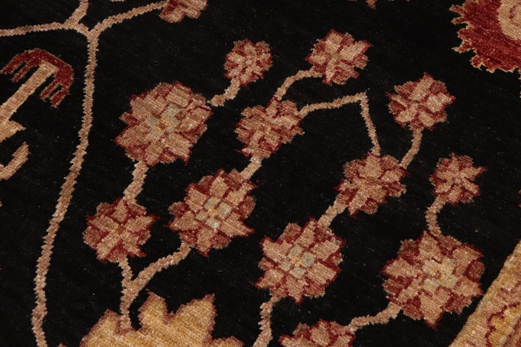 handmade Traditional Kafkaz Chobi Ziegler Black Red Hand Knotted RECTANGLE 100% WOOL area rug 10 x 14