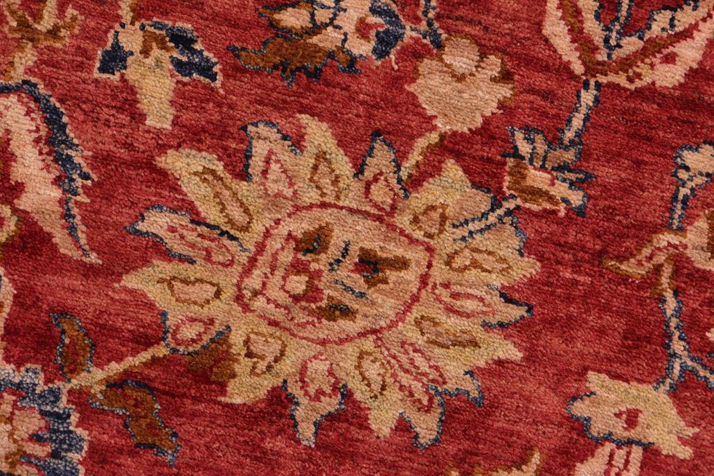 handmade Traditional Kafkaz Chobi Ziegler Red Blue Hand Knotted RECTANGLE 100% WOOL area rug 8 x 10