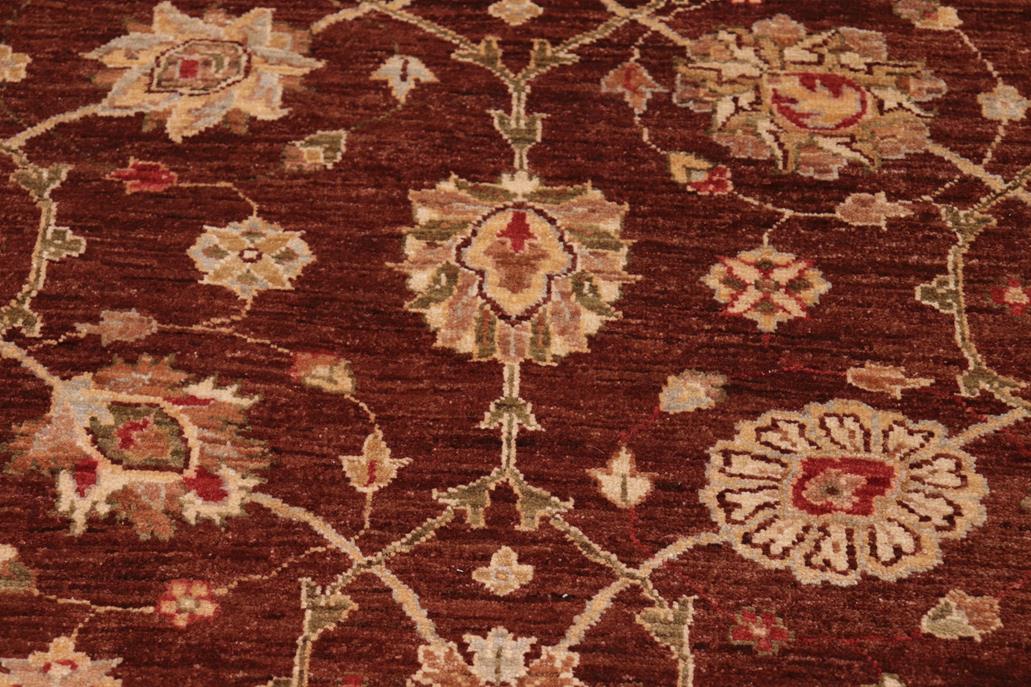 handmade Traditional Kafkaz Chobi Ziegler Brown Beige Hand Knotted RECTANGLE 100% WOOL area rug 8 x 10