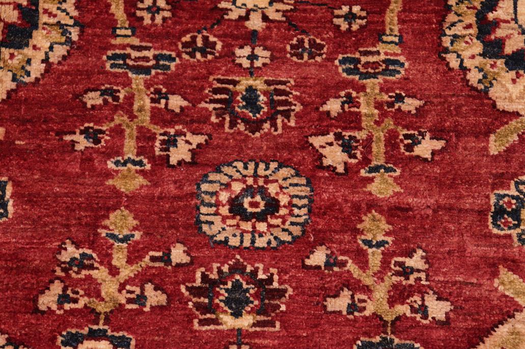 handmade Traditional Kafkaz Chobi Ziegler Red Ivory Hand Knotted RECTANGLE 100% WOOL area rug 5 x 6