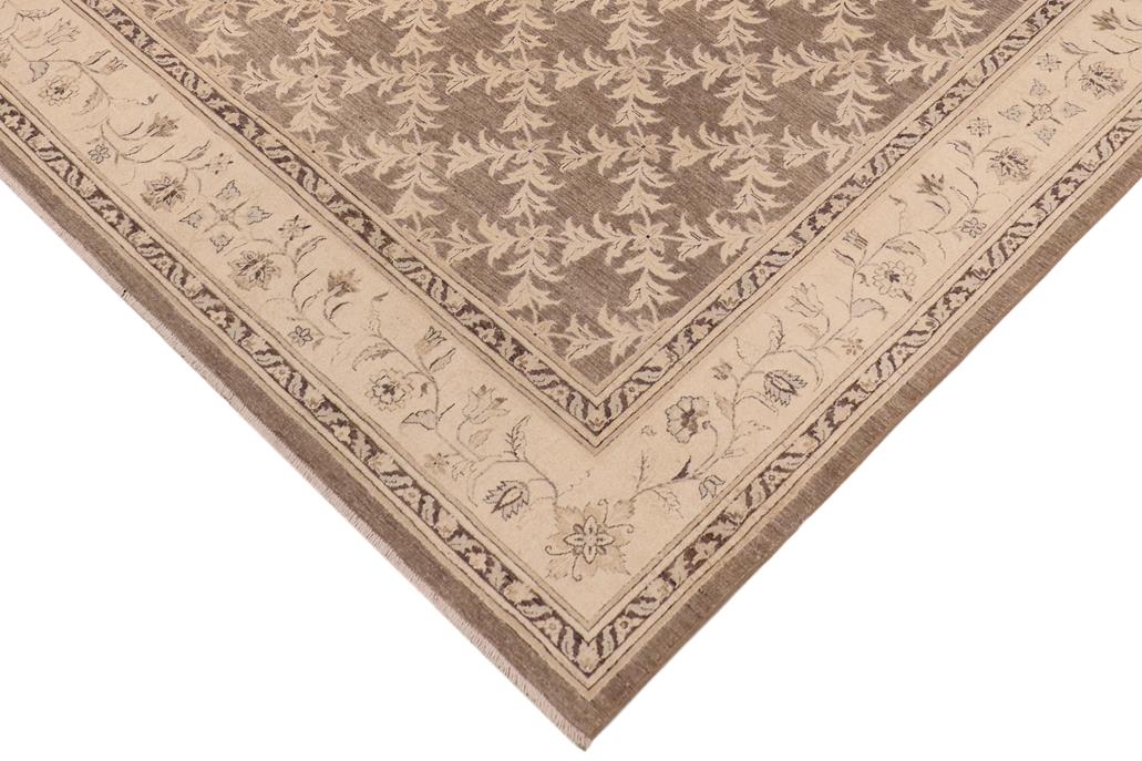 handmade Transitional Kafkaz Chobi Ziegler Brown Beige Hand Knotted RECTANGLE 100% WOOL area rug 8 x 10