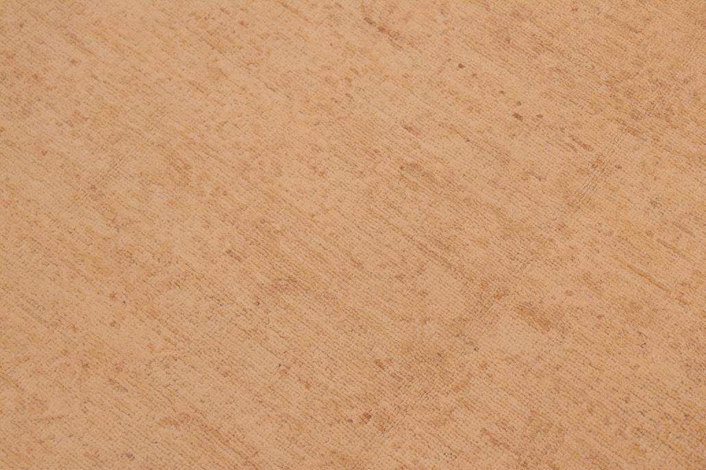 handmade Transitional Kafkaz Chobi Ziegler Tan Tan Hand Knotted RECTANGLE 100% WOOL area rug 6 x 9