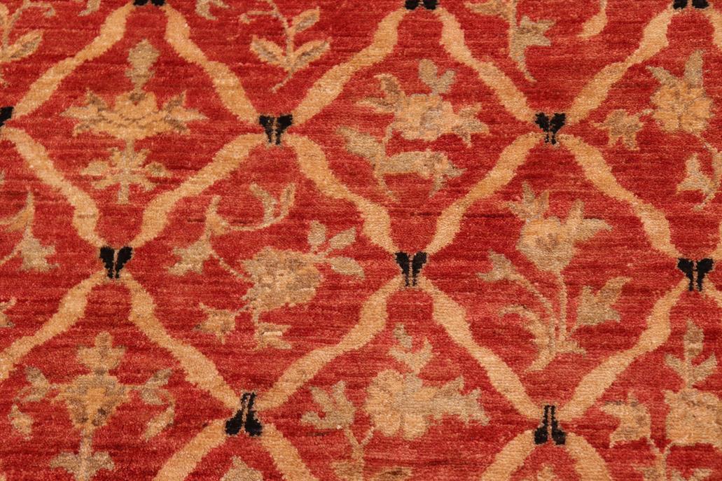 handmade Transitional Kafkaz Chobi Ziegler Red Black Hand Knotted RECTANGLE 100% WOOL area rug 6 x 9
