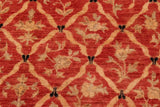handmade Transitional Kafkaz Chobi Ziegler Red Black Hand Knotted RECTANGLE 100% WOOL area rug 6 x 9