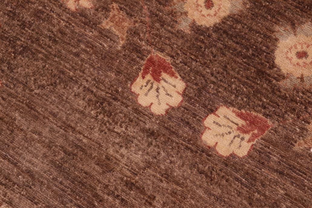 handmade Transitional Kafkaz Chobi Ziegler Brown Beige Hand Knotted RECTANGLE 100% WOOL area rug 6 x 9