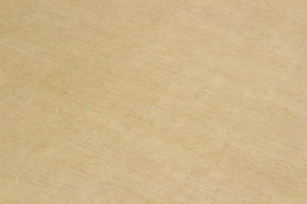 Handmade Kafakz Chobi Ziegler Modern Contemporary Lt. Tan Tan Hand Knotted Rectangel Hand Knotted 100% Vegetable Dyed wool area rug 10 x 14