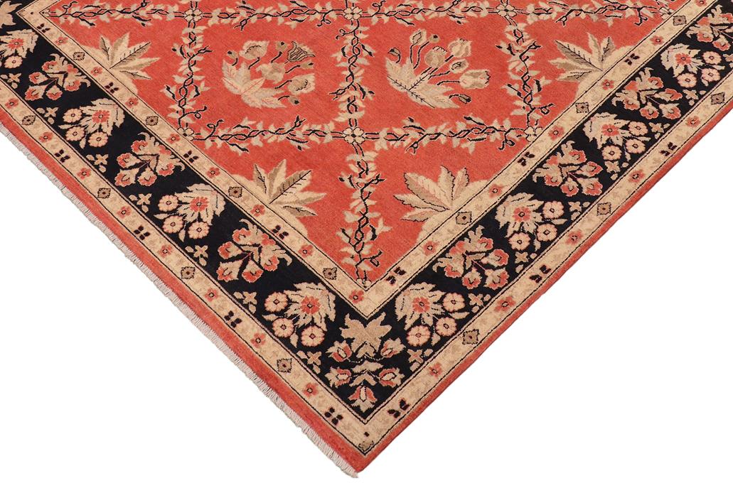 handmade Transitional Kafkaz Chobi Ziegler Orange Black Hand Knotted RECTANGLE 100% WOOL area rug 9 x 12