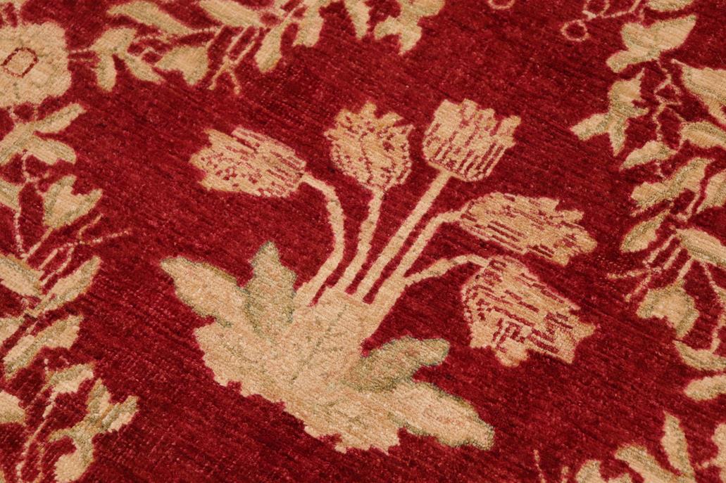 handmade Transitional Kafkaz Chobi Ziegler Red Gold Hand Knotted RECTANGLE 100% WOOL area rug 10 x 14