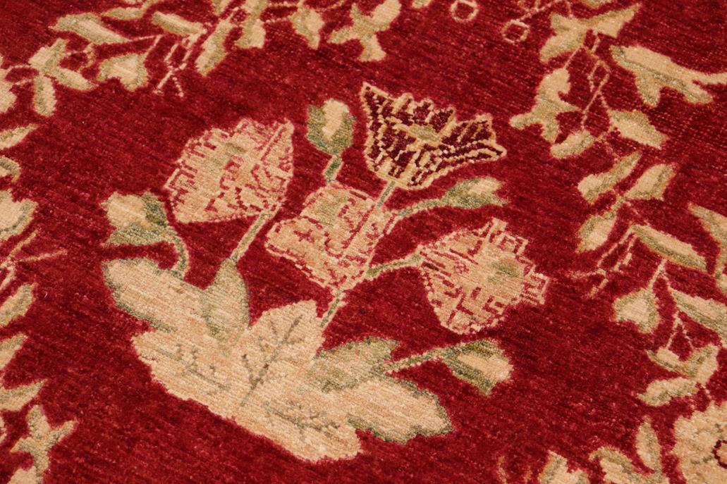 handmade Transitional Kafkaz Chobi Ziegler Red Gold Hand Knotted RECTANGLE 100% WOOL area rug 10 x 14