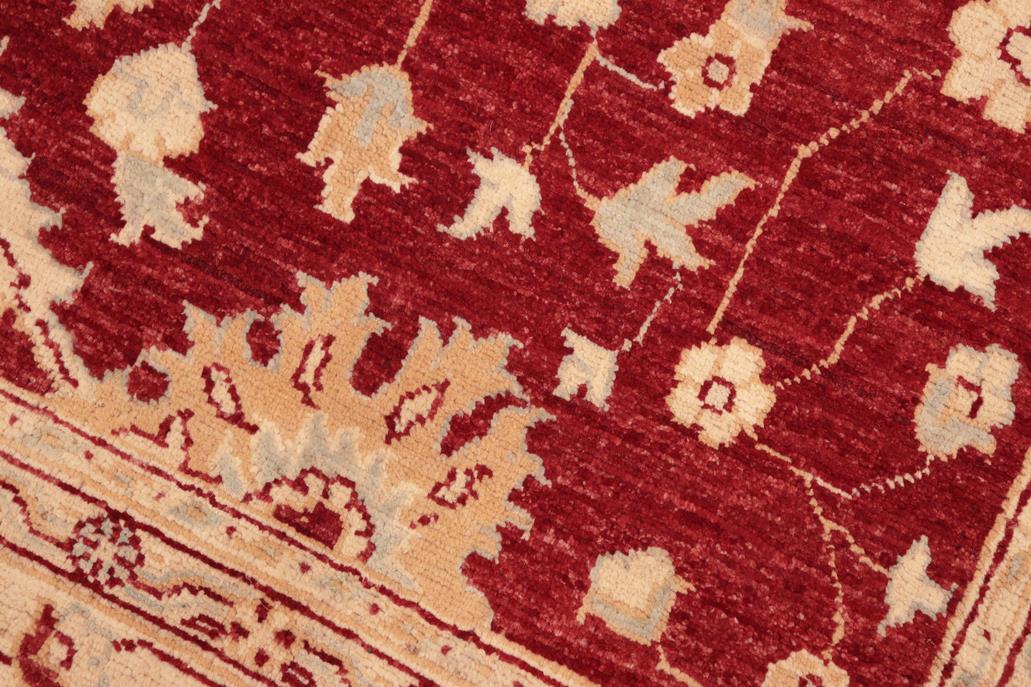 handmade Traditional Kafkaz Chobi Ziegler Red Beige Hand Knotted RECTANGLE 100% WOOL area rug 6 x 9