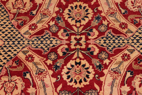 handmade Traditional Agra Red Blue Hand Knotted RECTANGLE 100% WOOL area rug 8 x 10