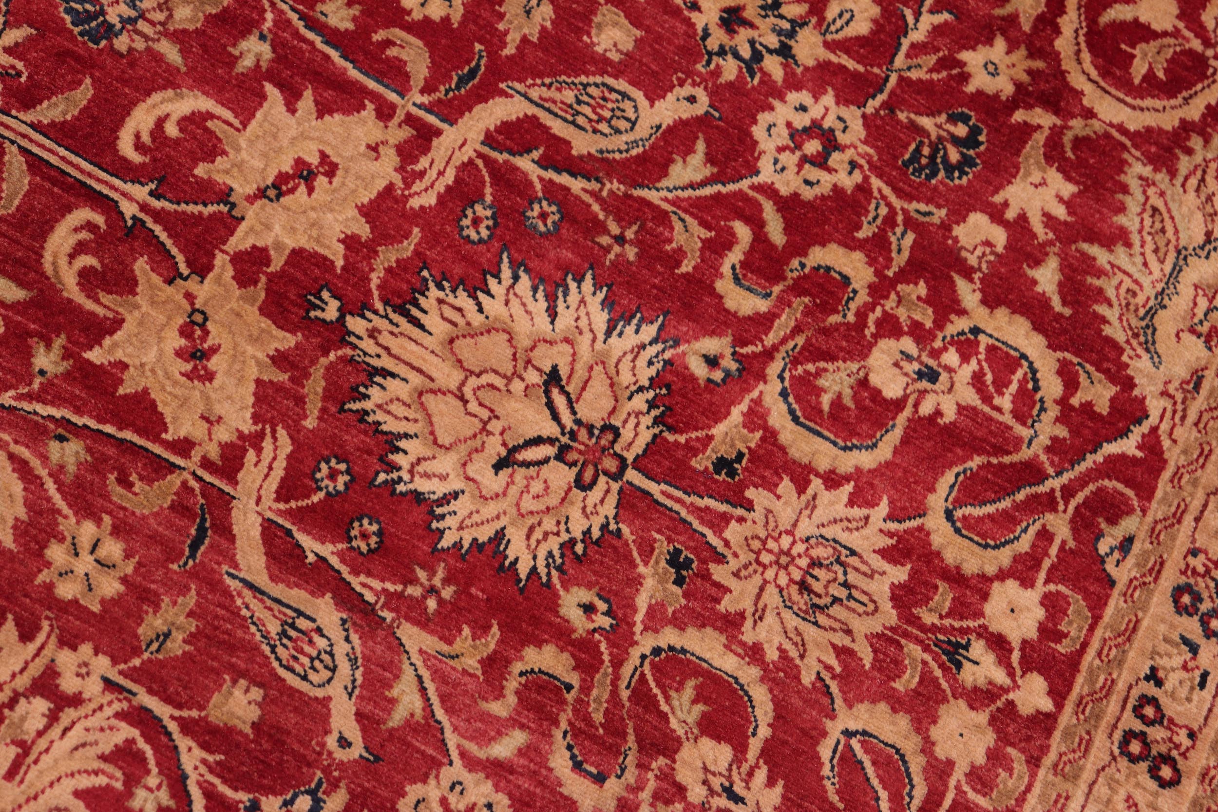 handmade Transitional Agra Red Gold Hand Knotted RECTANGLE 100% WOOL area rug 8 x 10