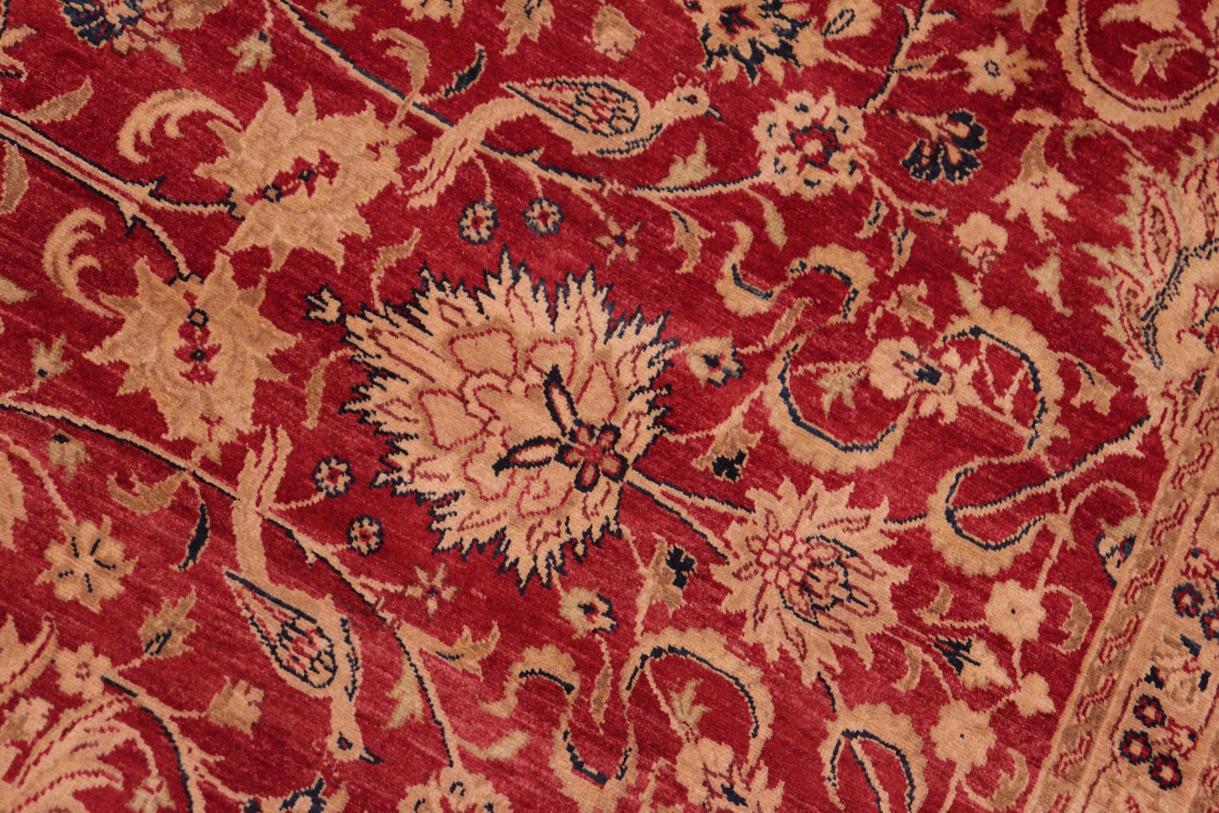 handmade Transitional Agra Red Gold Hand Knotted RECTANGLE 100% WOOL area rug 8x10