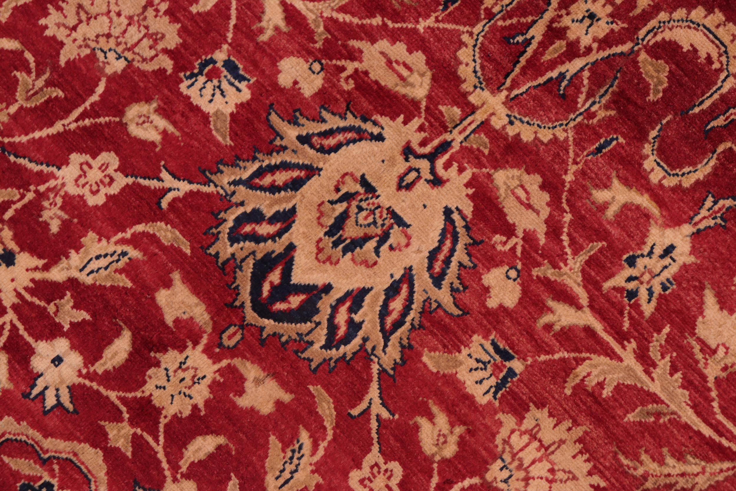 handmade Transitional Agra Red Gold Hand Knotted RECTANGLE 100% WOOL area rug 8 x 10