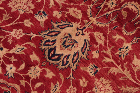 handmade Transitional Agra Red Gold Hand Knotted RECTANGLE 100% WOOL area rug 8 x 10