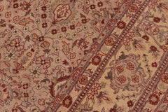 handmade Traditional Lahore Lt. Tan Tan Hand Knotted RECTANGLE 100% WOOL area rug 8'X10'