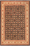 handmade Transitional Kafkaz Brown Beige Hand Knotted RECTANGLE 100% WOOL area rug 9 x 12