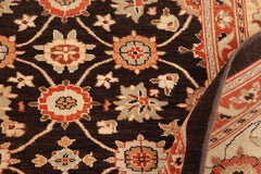 handmade Transitional Kafkaz Brown Beige Hand Knotted RECTANGLE 100% WOOL area rug 10X14