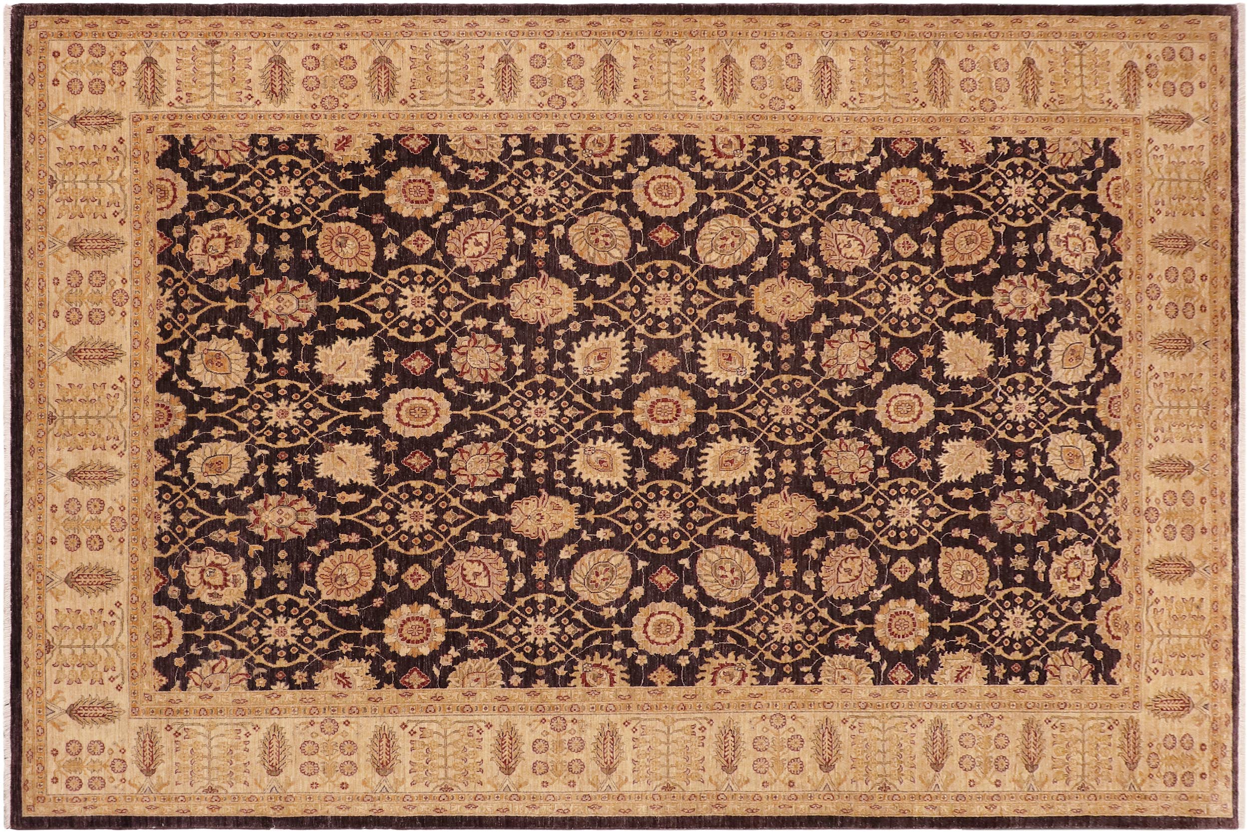 handmade Transitional Kafkaz Aubergine Beige Hand Knotted RECTANGLE 100% WOOL area rug 10' x 14'