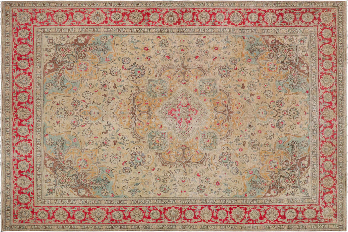 handmade Vintage Hand Painte Beige Red Hand Knotted RECTANGLE 100% WOOL area rug 9' x 11'