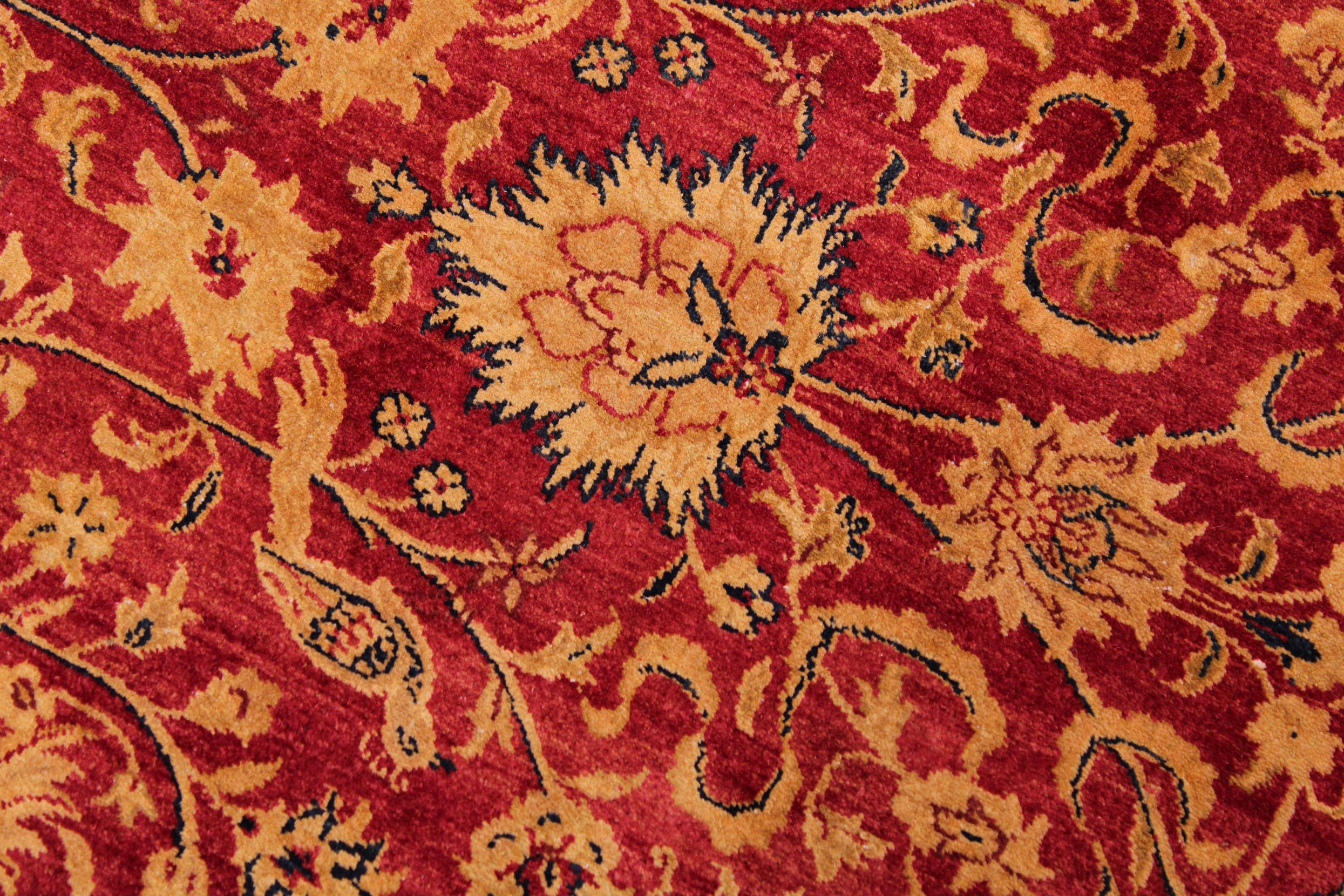 handmade Transitional Agra Red Blue Hand Knotted RECTANGLE 100% WOOL area rug 9x12