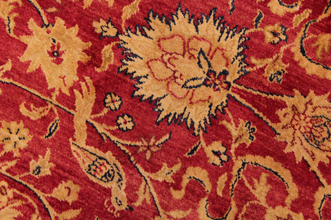 handmade Transitional Agra Red Blue Hand Knotted RECTANGLE 100% WOOL area rug 9 x 12