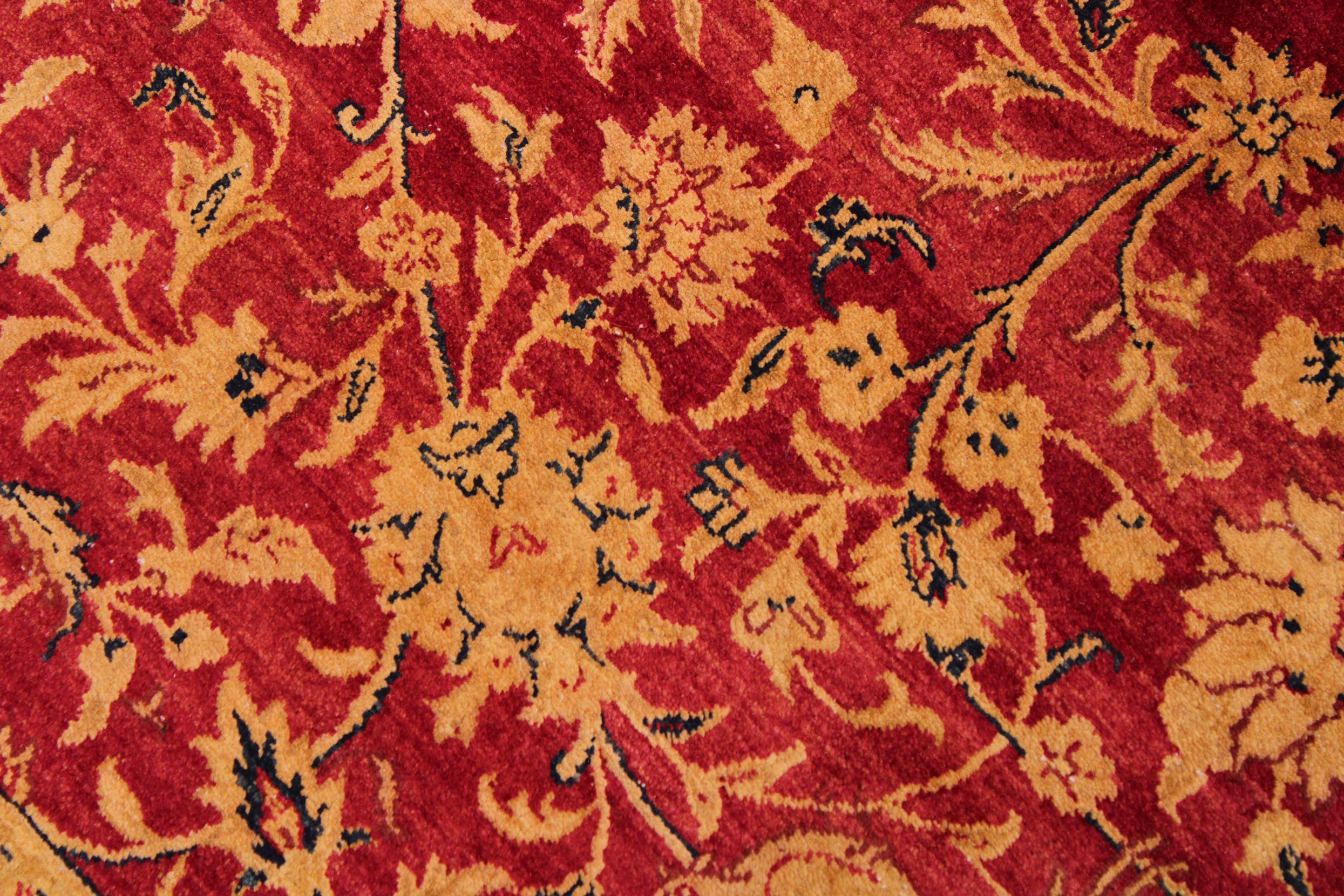 handmade Transitional Agra Red Blue Hand Knotted RECTANGLE 100% WOOL area rug 9x12