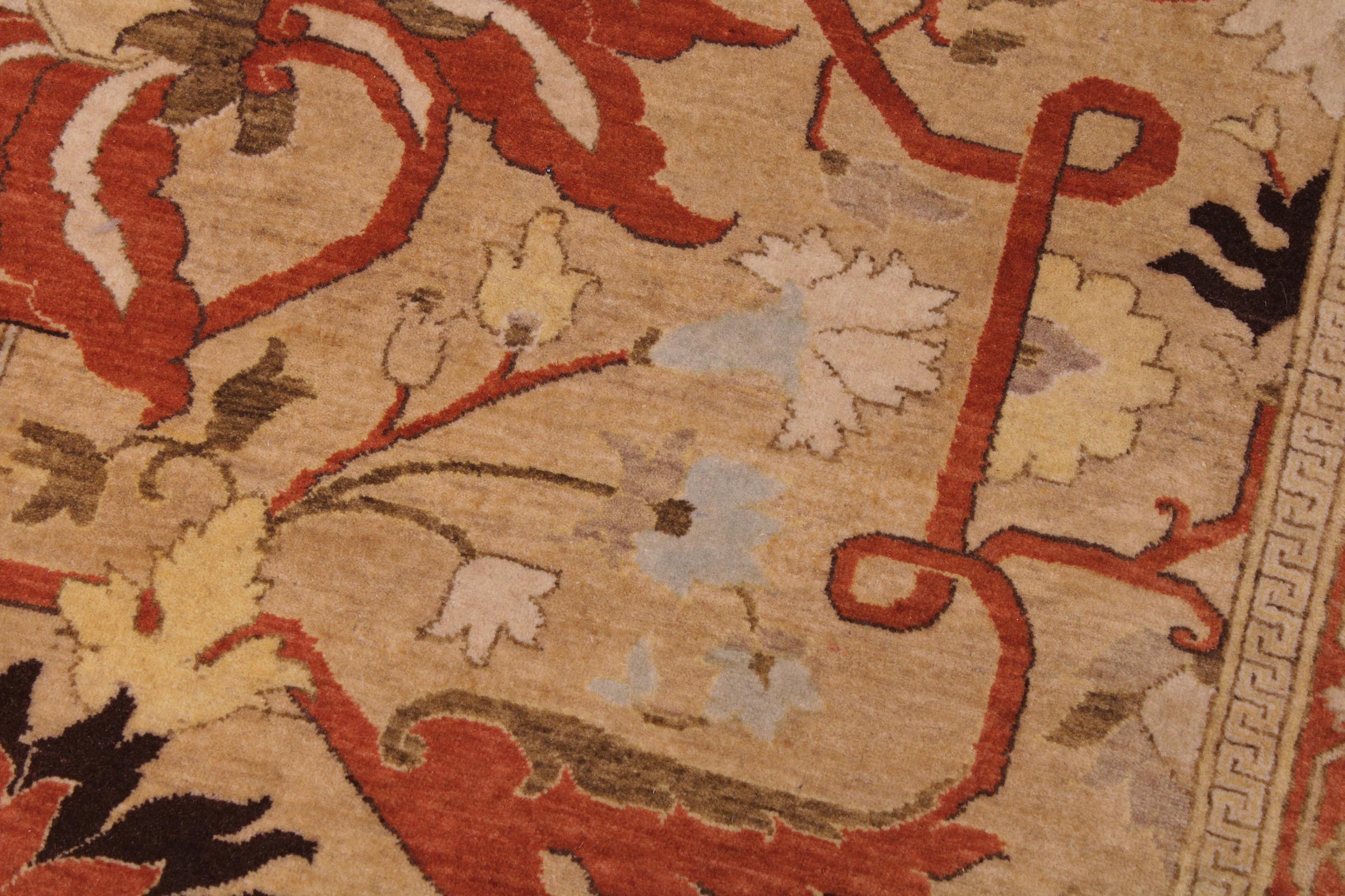 handmade Transitional  Gold Tan Hand Knotted RECTANGLE 100% WOOL area rug 9x12