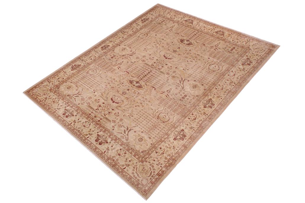 handmade Transitional Lahore Tan Red Hand Knotted RECTANGLE 100% WOOL area rug 9'X12'