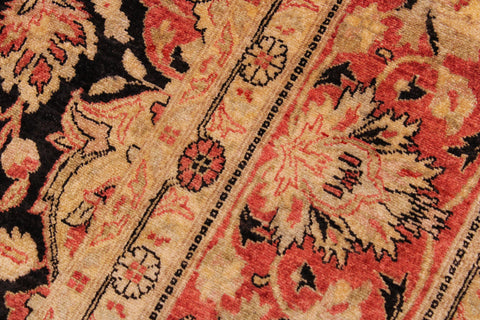 handmade Transitional Lahore Tan Brown Hand Knotted RECTANGLE 100% WOOL area rug 9' x 12'