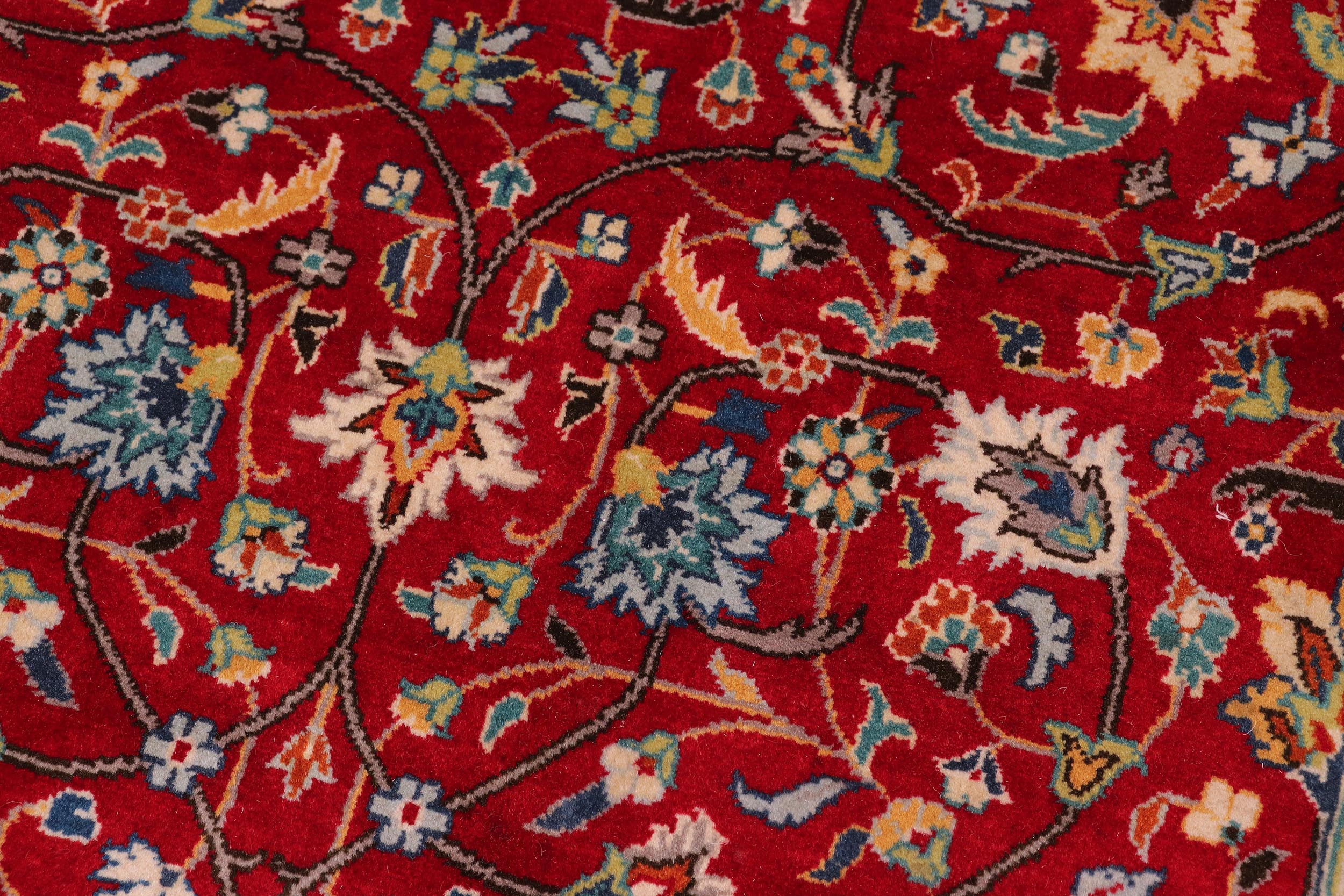 handmade Transitional  Red Teal Hand Knotted RECTANGLE 100% WOOL area rug 9x12