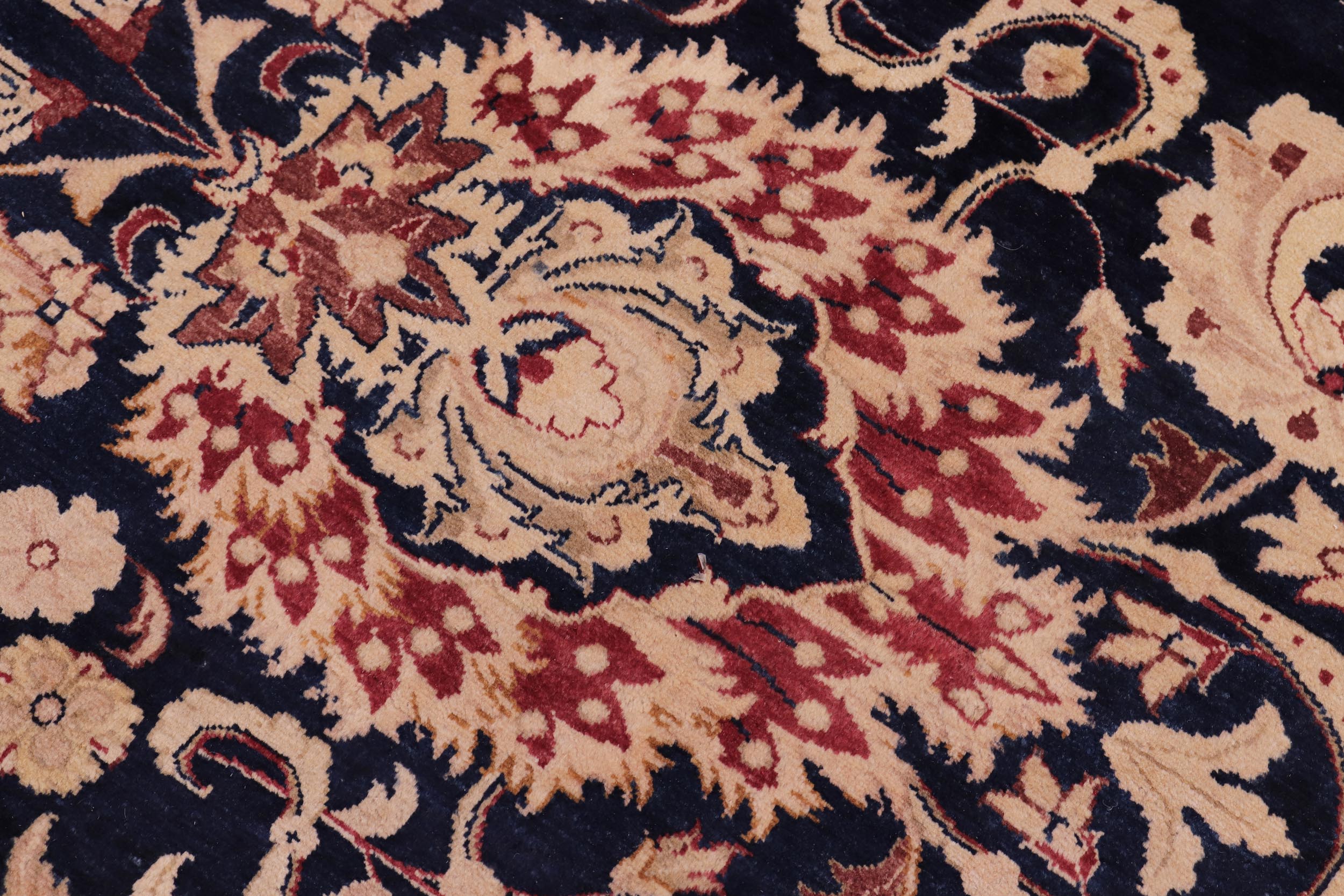handmade Transitional Agra Blue Red Hand Knotted RECTANGLE 100% WOOL area rug 10 x 14