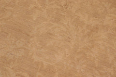 handmade Transitional Kafkaz Brown Tan Hand Knotted RECTANGLE 100% WOOL area rug 10X14