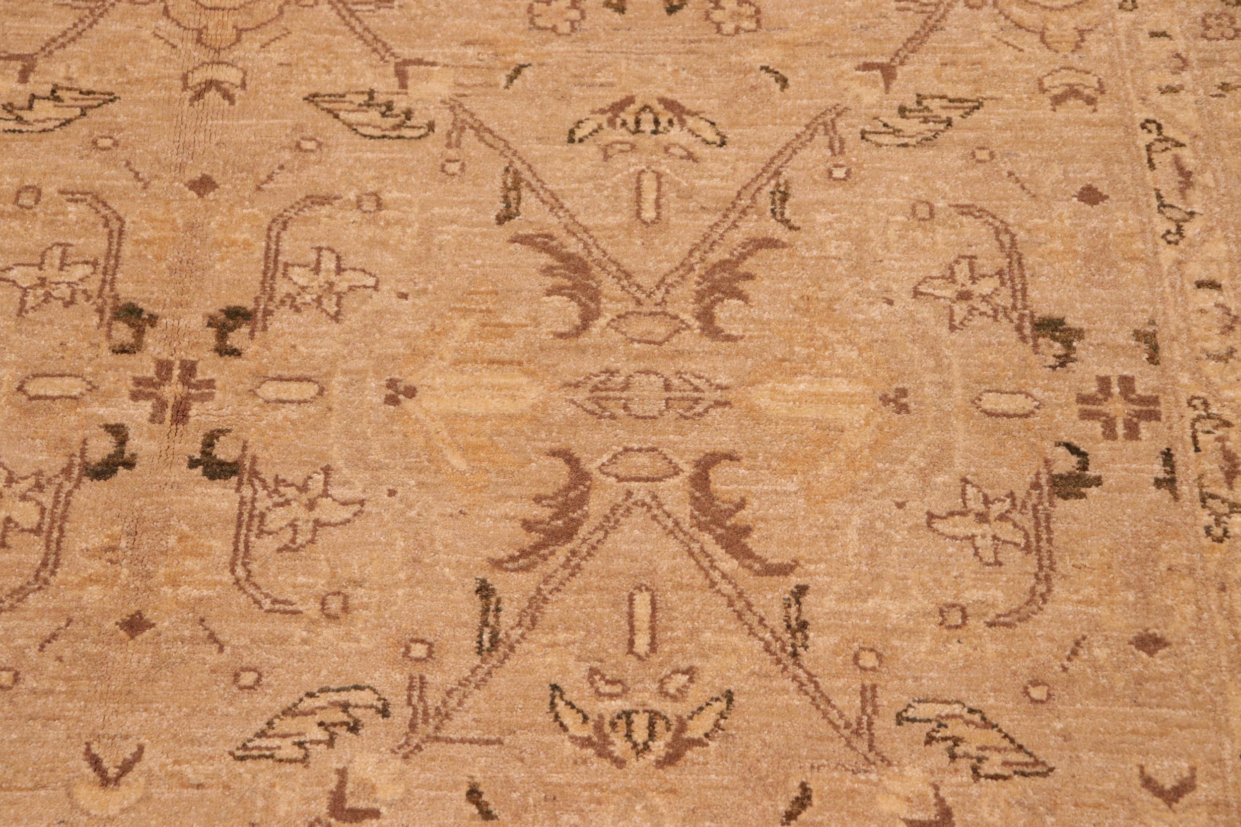 handmade Transitional Lahore Tan Brown Hand Knotted RECTANGLE 100% WOOL area rug 6' x 9'
