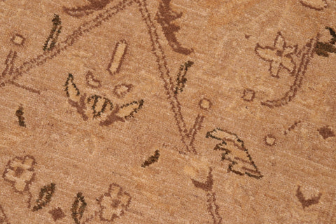 handmade Transitional Lahore Tan Brown Hand Knotted RECTANGLE 100% WOOL area rug 6' x 9'