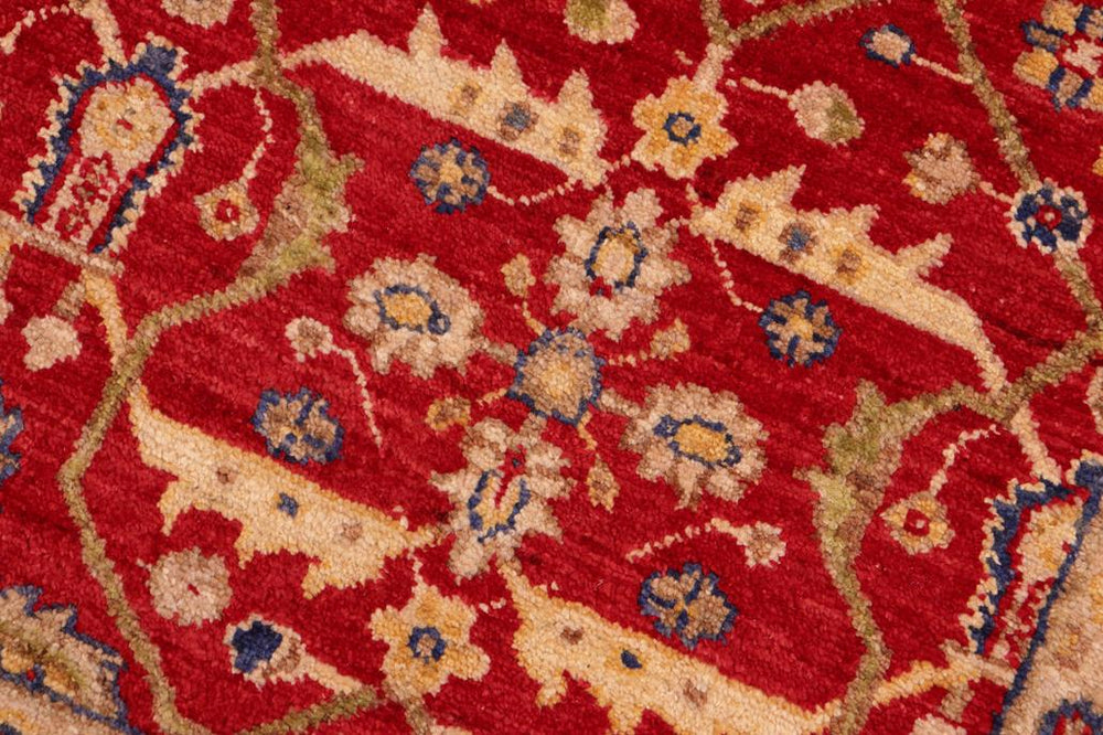 handmade Transitional  Red Green Hand Knotted RECTANGLE 100% WOOL area rug 6X9