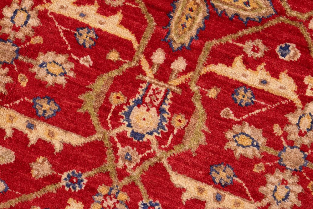 handmade Transitional  Red Green Hand Knotted RECTANGLE 100% WOOL area rug 6X9