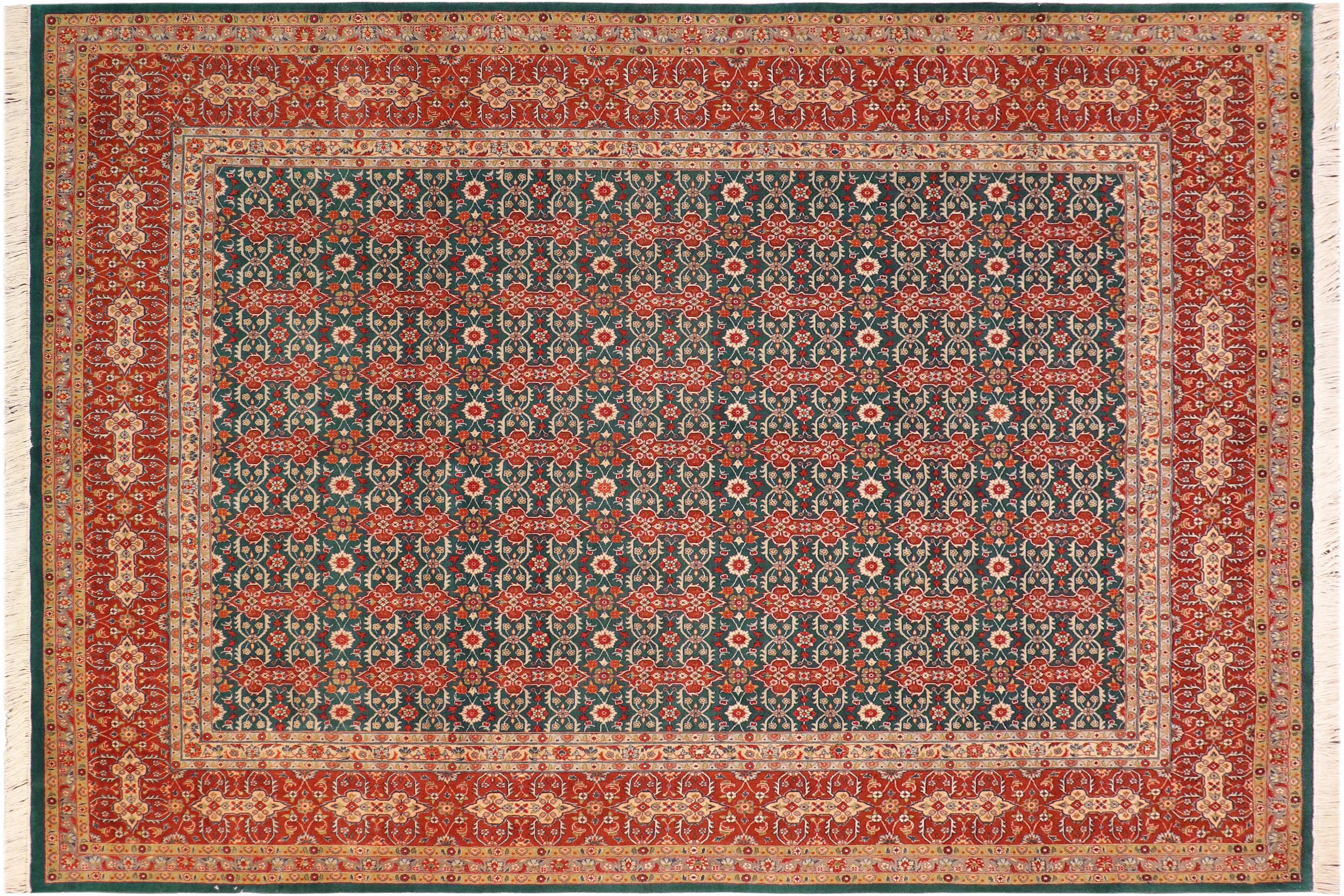 handmade Transitional  Green Rust Hand Knotted RECTANGLE 100% WOOL area rug 8x10