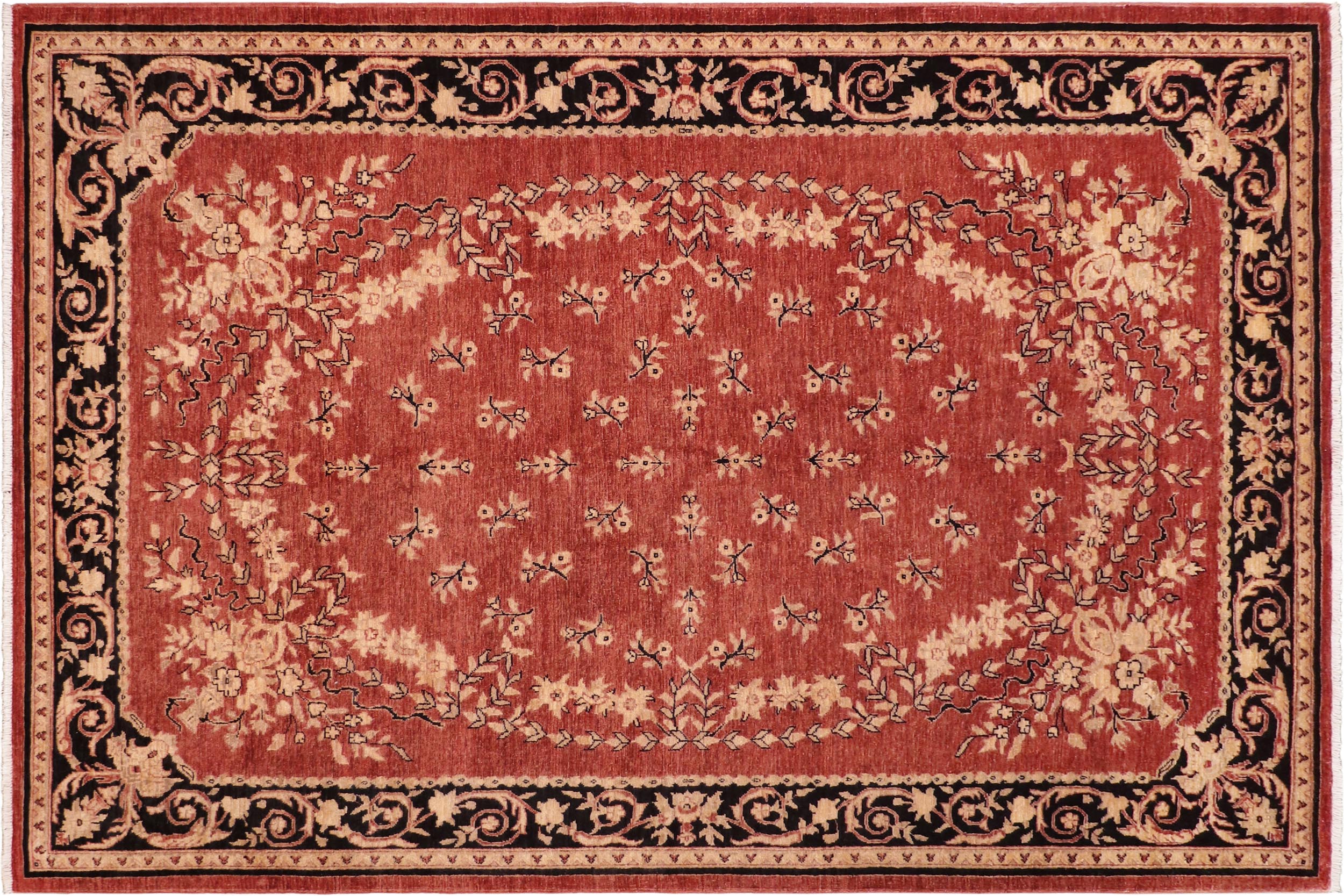 handmade Transitional Kafkaz Red Black Hand Knotted RECTANGLE 100% WOOL area rug 6' x 9'