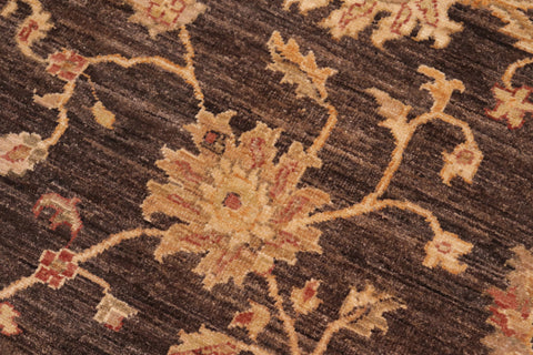 handmade Transitional Kafkaz Brown Tan Hand Knotted RECTANGLE 100% WOOL area rug 8' x 10'
