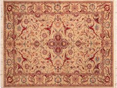 handmade Traditional Hamadan Taupe Red Hand Knotted RECTANGLE 100% WOOL area rug 6x9