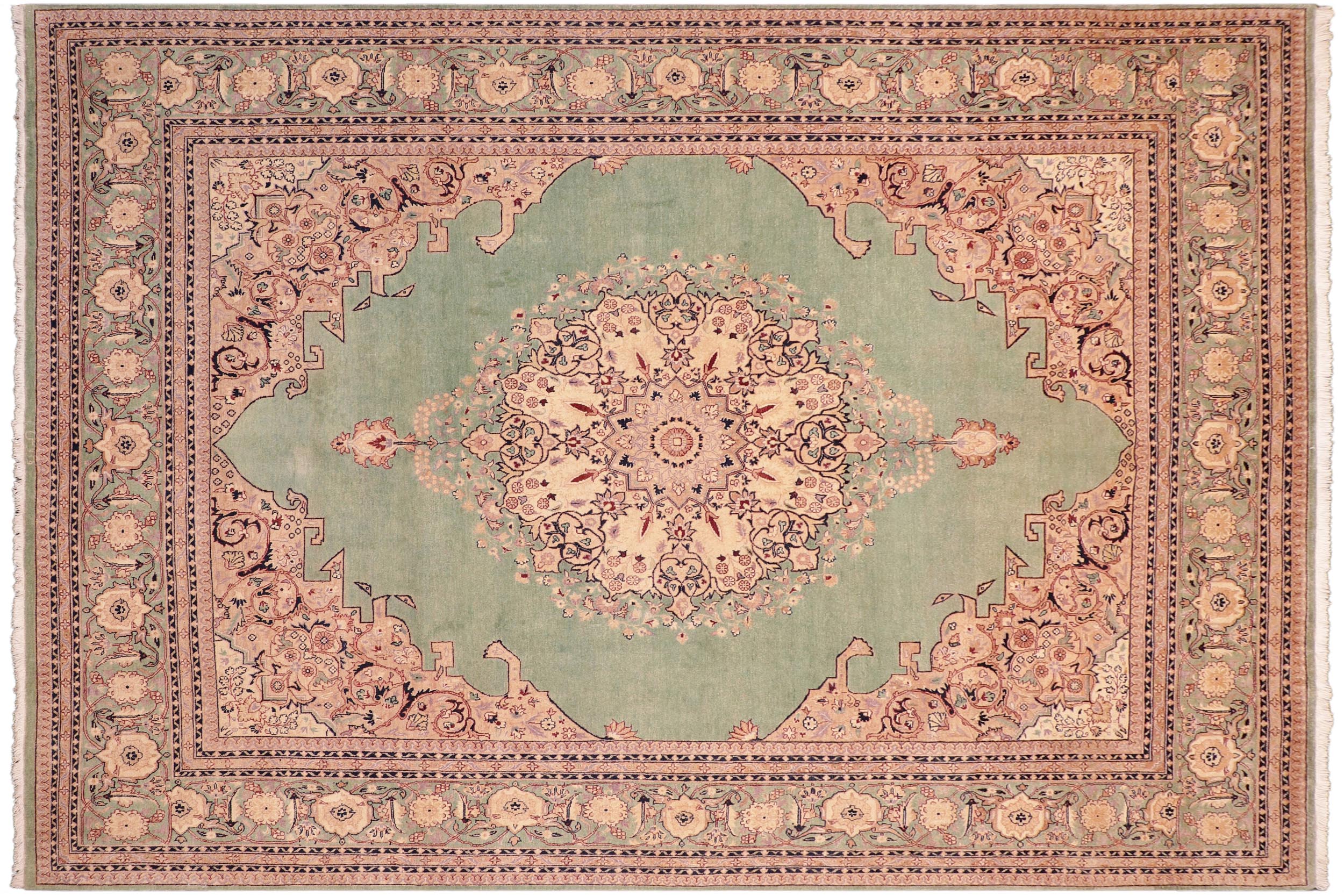 handmade Traditional  Lt. Green Lt. Green Hand Knotted RECTANGLE 100% WOOL area rug 8 x 10