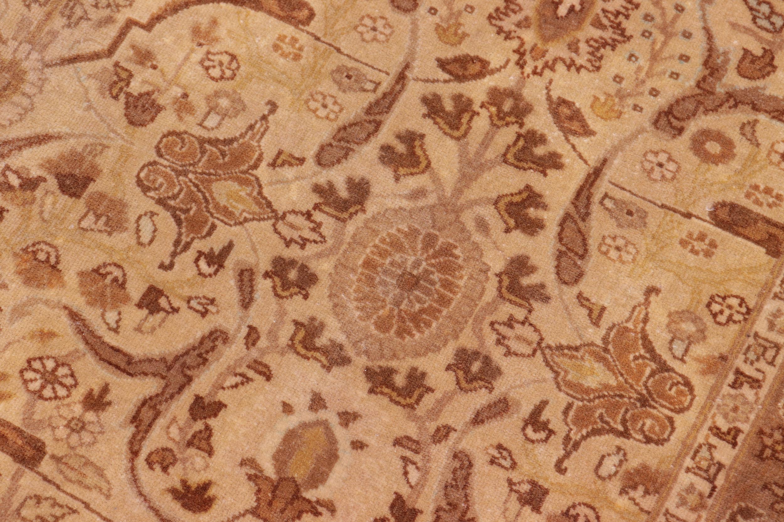 handmade Traditional Lahore Gold Tan Hand Knotted RECTANGLE 100% WOOL area rug 8' x 10'