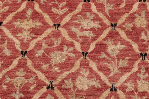 handmade Transitional Kafkaz Red Black Hand Knotted RECTANGLE 100% WOOL area rug 6' x 9'