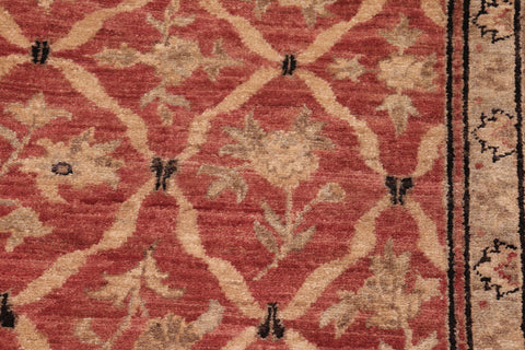 handmade Transitional Kafkaz Red Black Hand Knotted RECTANGLE 100% WOOL area rug 6' x 9'