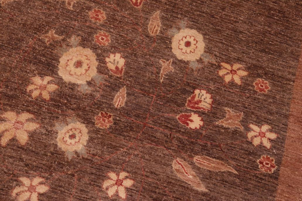 handmade Transitional Kafkaz Brown Beige Hand Knotted RECTANGLE 100% WOOL area rug 6X9